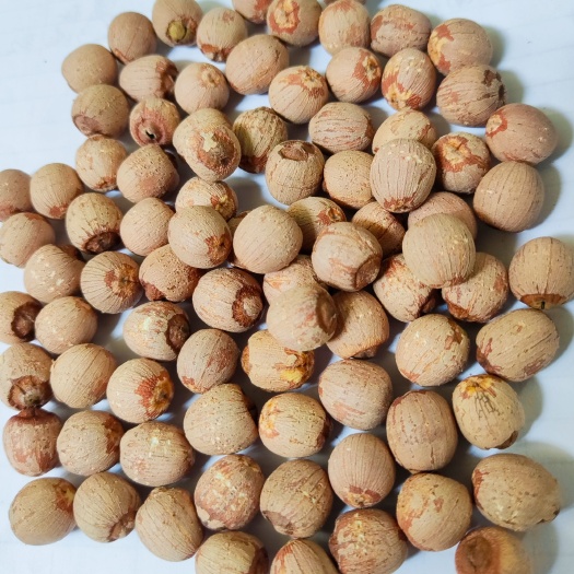 洪湖市红莲子 湖北洪湖特色莲子