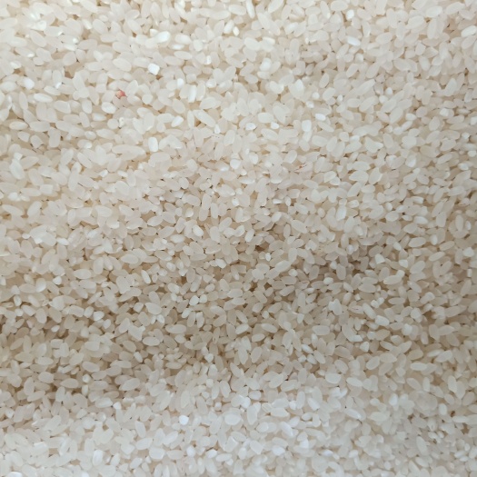 原阳县粳米 原阳大米