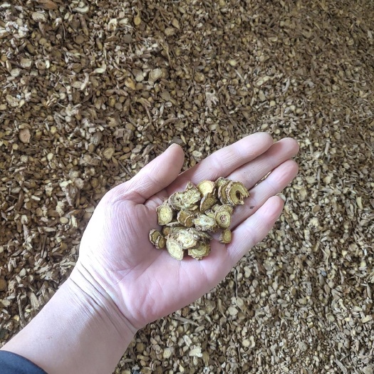 绛县黄芩片，无硫，山西黄芩，两年半以上，高含量，产地工厂直供