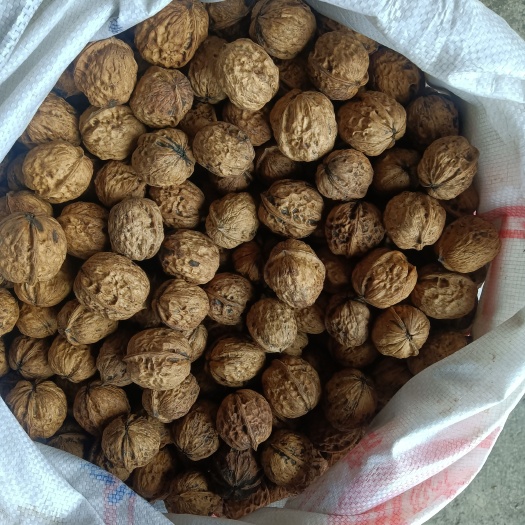 大方县薄皮核桃 贵州特产干核桃溥皮核桃