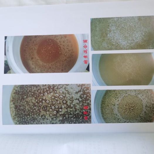 西苏旗微生物有机肥 已腐熟 