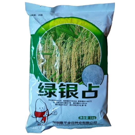 武汉隆平绿银占水稻种子常规种可作中晚稻栽培优质稻谷抗病抗性好1k