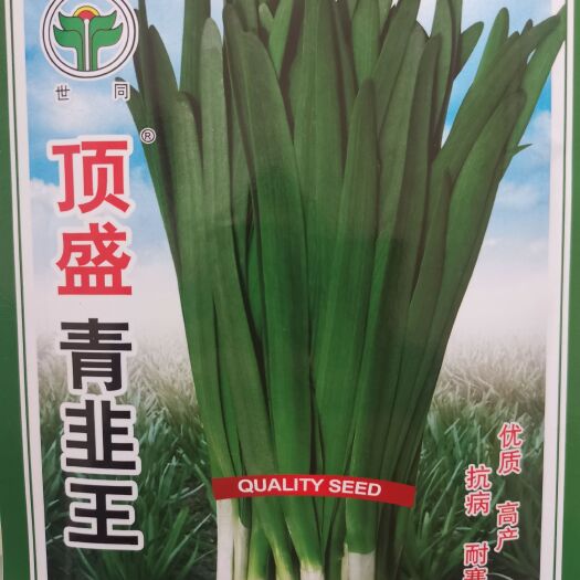 成都韭菜种子  四季大（小）叶韭菜