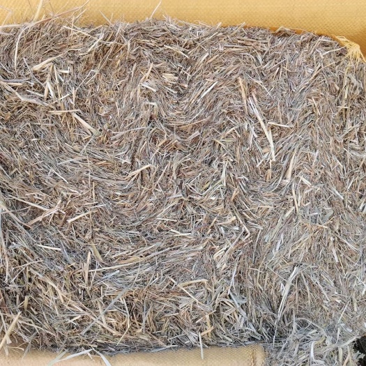 林甸县青干草饲料 天然草柔丝羊草