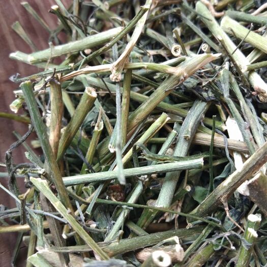 全南县 龙葵草中药材龙葵天茄子龙葵草 黑天天 龙葵新货500g