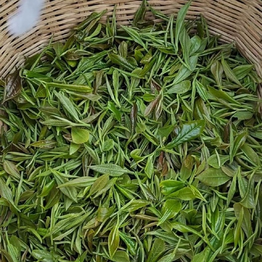 大悟县天然深山绿茶毛尖茶雨前茶