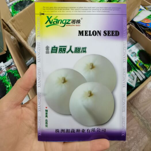 西安白玉甜瓜种子 白丽人甜瓜种子冰糖心  甜度可达17度左右 果