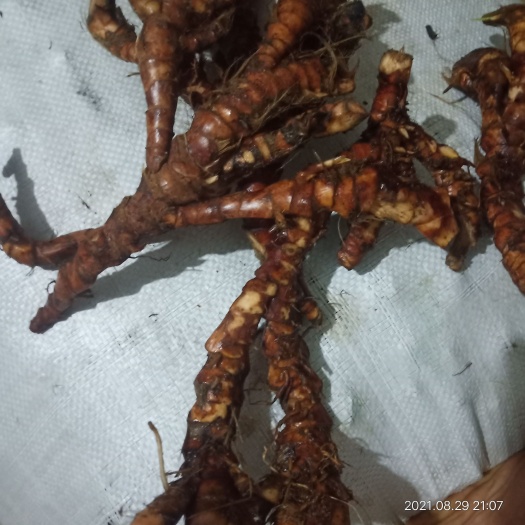 容县天然石菖蒲干货统货