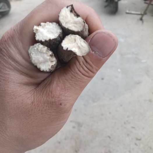 亳州 黑白芍