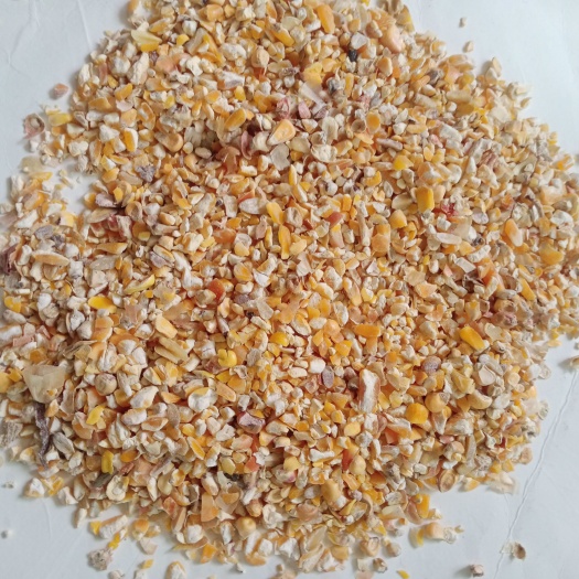 四会市玉米渣  玉米漏玉米碎，碎玉米，养殖饲料