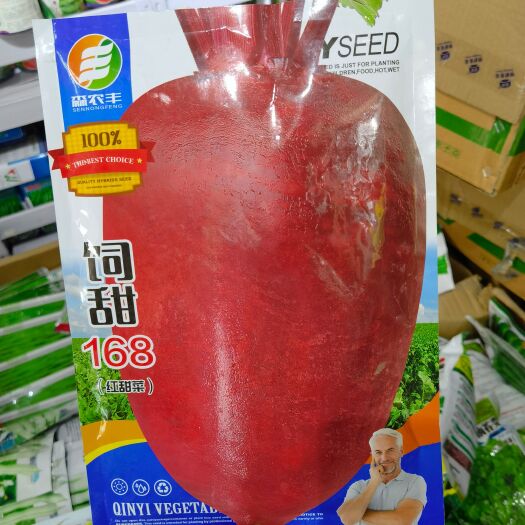 西安甜菜种子 甜菜根新鲜红菜头红心萝卜紫菜头红甜才跟红根白沙拉西