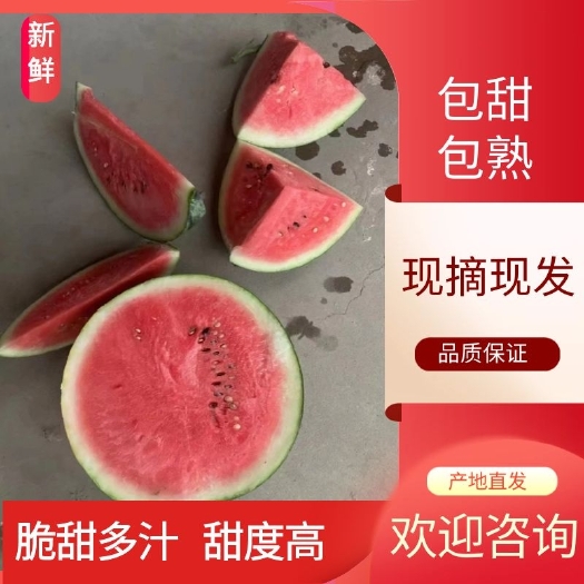 砀山县8424西瓜  精品美都•皮薄汁多，口感甜脆。
