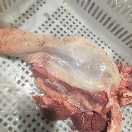 国产新鲜牛舌