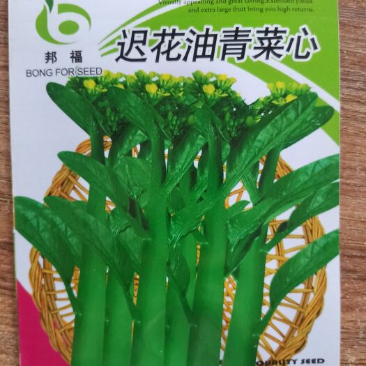 南宁甜菜心种子 迟花粗条菜心，抽苔快，慢花，抗热耐湿，可连续采收