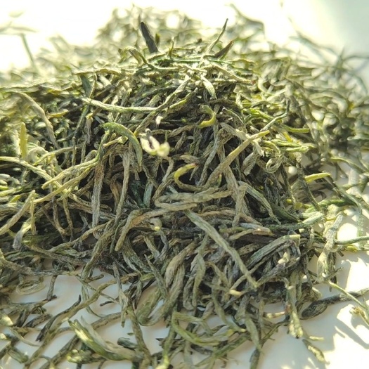 商城县毛尖茶 信阳毛尖