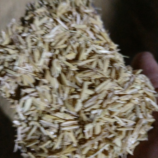 稻壳粉 榨油车间锅炉烧出稻壳灰