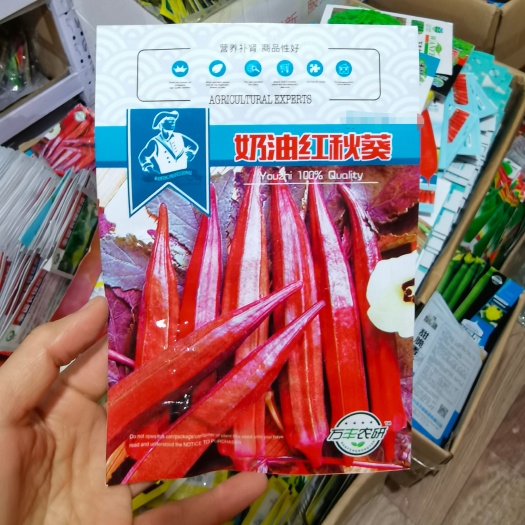 西安红秋葵种子 春季夏季四季播蔬菜阳台专用种子