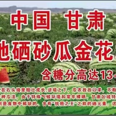 硒砂瓜 甘肃省白银市靖远县 1茬