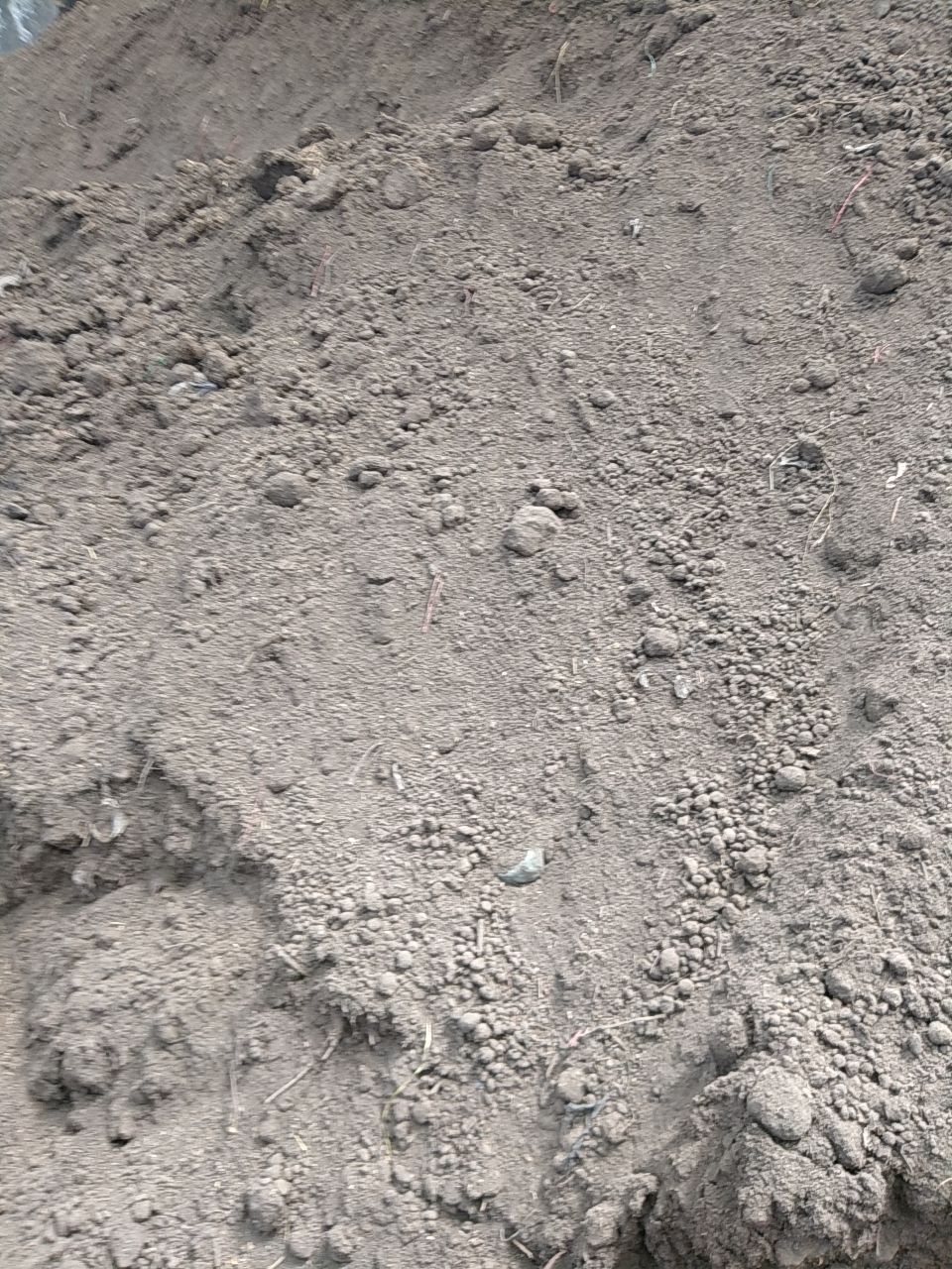 发酵牛粪   牛粪有机肥