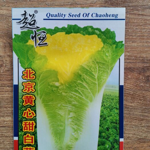 南宁黄心白菜种子 早熟北京黄心甜白菜 阳台露天都适应，微甜，长势