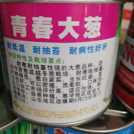 日本大葱种子 晚抽大葱种子，青春大葱