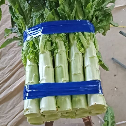 兰陵县 莴笋，绿皮绿肉红叶，