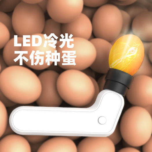 丽水应急灯/手电筒 照蛋器孵化专用照蛋灯LED冷光强光检验种蛋器