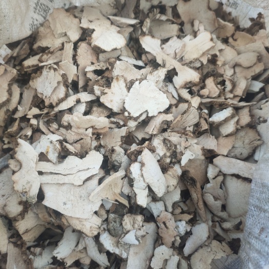 松桃县 土茯苓 白土茯苓干片