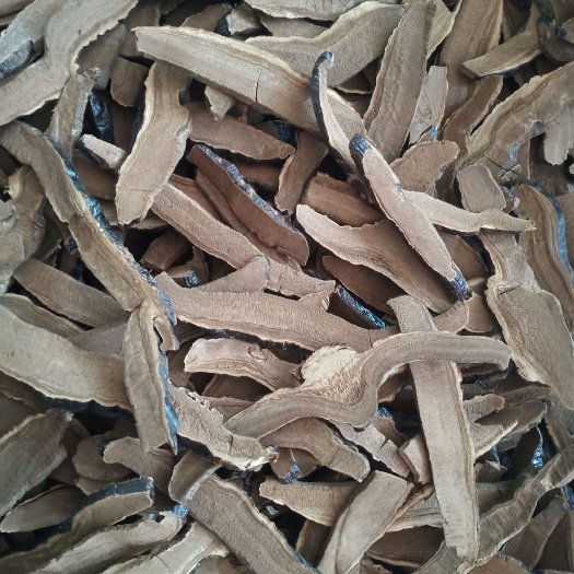 玉林黑灵芝片