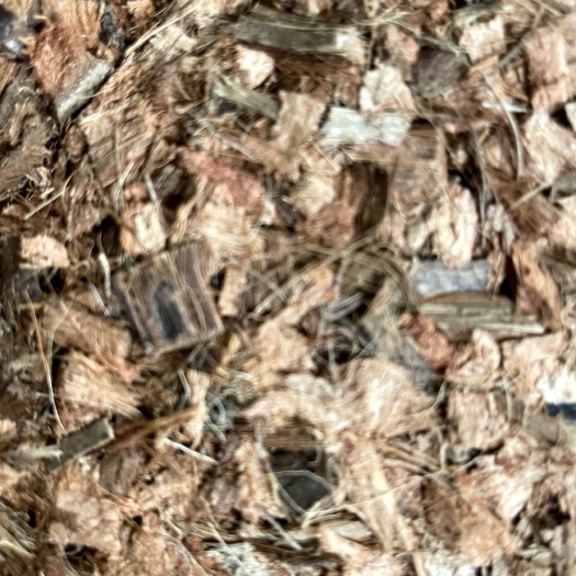 佛山 椰糠椰壳块 蓝莓 草莓 花卉全部适用