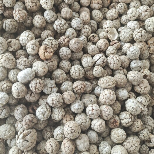 玉林优惠出售足干全干草蔻 中草寇 颗粒好色泽靓 香料调味