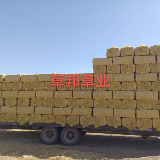 和林县 精品柔丝玉米秸秆现货500吨