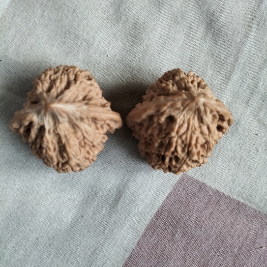 涞水县文玩核桃
