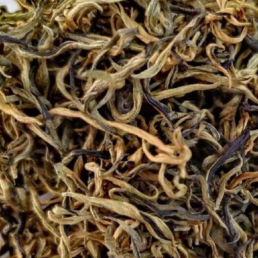 凌云县桂红红茶  广西百色市凌云白毫茶桂红一号工夫红茶新茶清明茶春茶