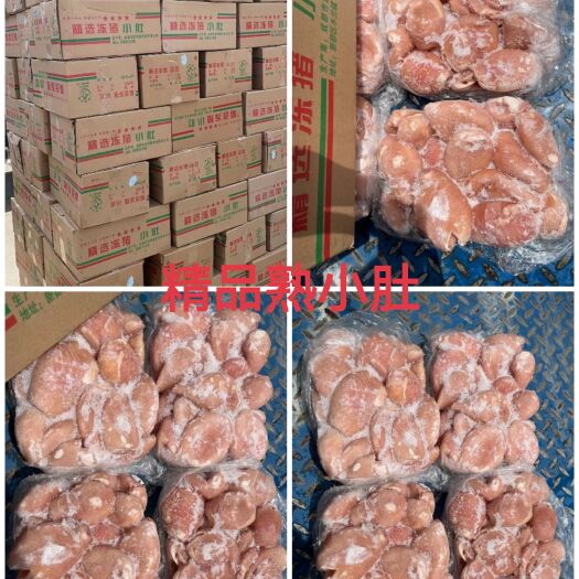 成都猪肚 预煮熟小肚（猪小肚）