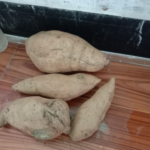 衡阳县白皮红薯