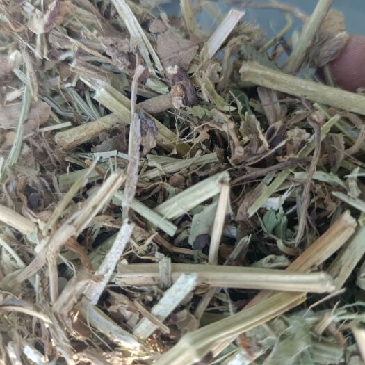 正阳县花生秧 干，干净