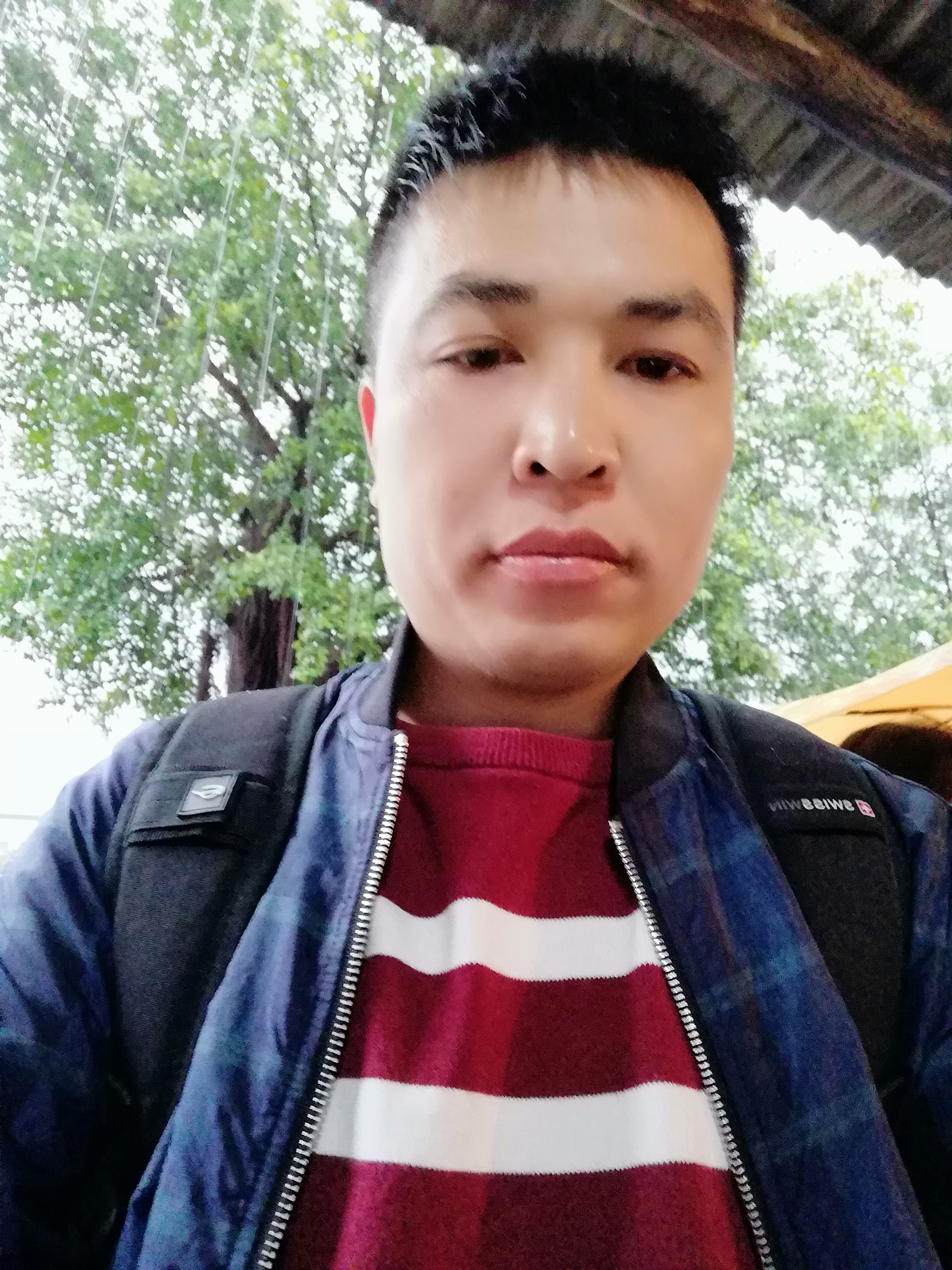 張紫明草莓苗