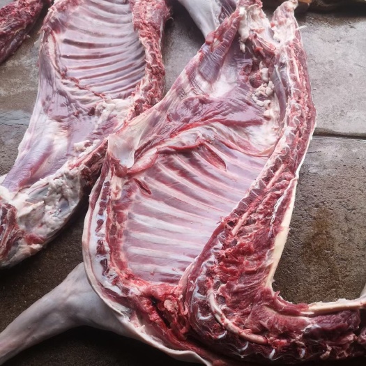 威宁县羊肉类 羊肉