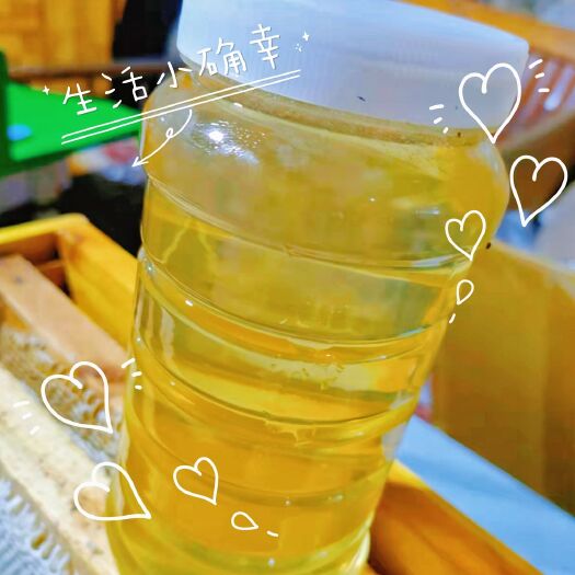 新野县土蜂蜜 自己家纯正蜂蜜