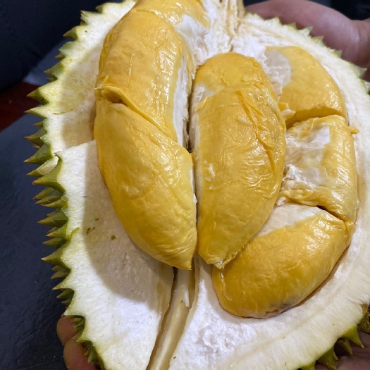 泰国托曼尼榴莲精选品质榴莲中的战斗机一件代发现货秒发包邮