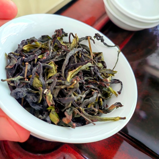 惠来县奇兰茶 八仙茶诏安八仙茶惠来土山茶潮汕高山茶福建高山茶袋散装