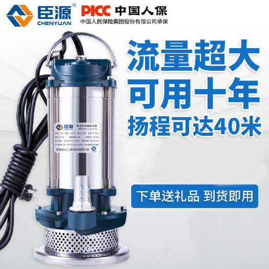 丽水臣源不锈钢潜水泵220v家用排污抽水泵高扬程农用家用Min