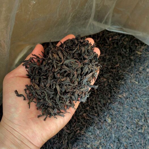 惠来县奇兰茶 惠来土山茶潮汕高山茶福建乌龙茶炭焙浓香型熟茶高山茶叶