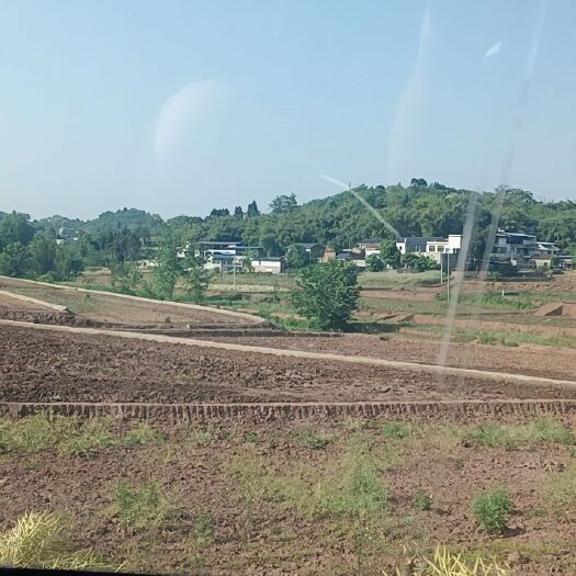 仁寿县旱地 土地出租