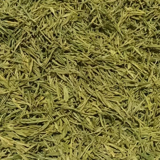 阳新县黄金茶 新苗茶新鲜清香奶白茶黄金芽