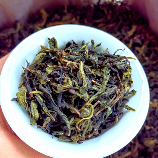 惠来县奇兰茶 诏安八仙茶惠来土山茶清香潮汕高山茶乌龙茶乌山土山茶叶