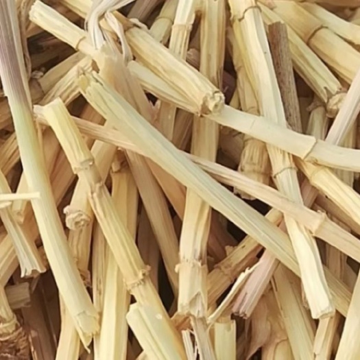 3公分精品段白茅根批发散装统货散装毛根甜甜根茅根竹蔗水原料
