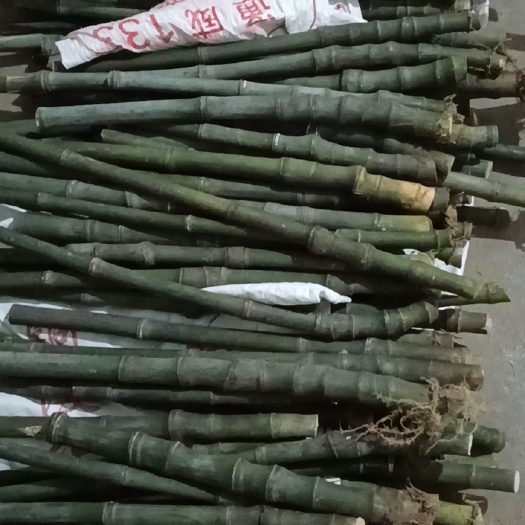 南陵县 实心玉竹异形直杆量2.0-3.3