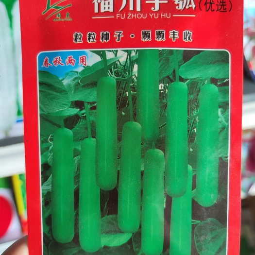 南昌福州芋瓠瓠瓜种子，10克，上下粗细均匀，果肉乳白色